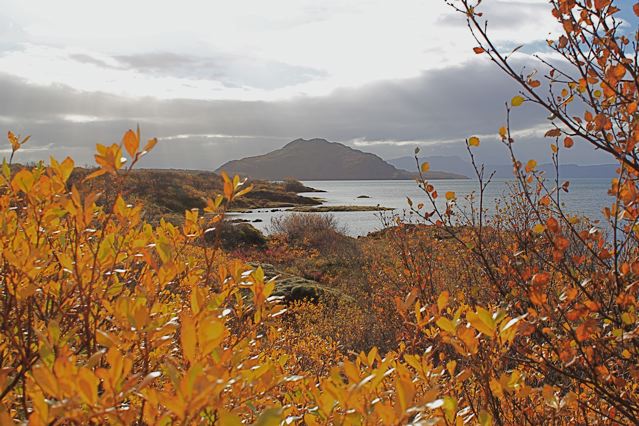 thingvellir