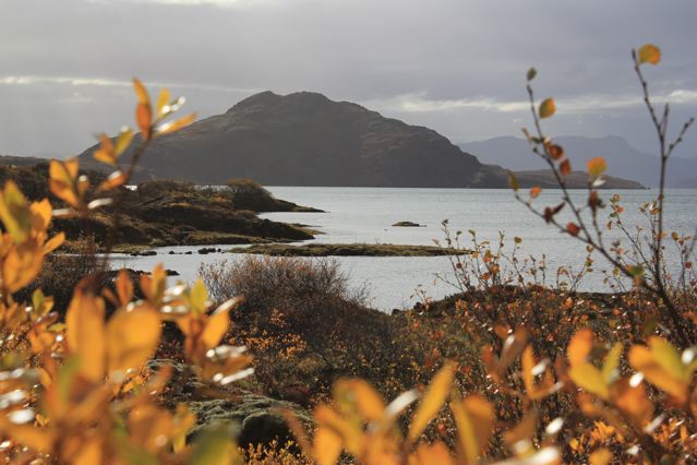 thingvellir