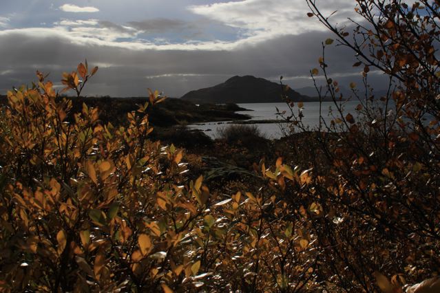 thingvellir