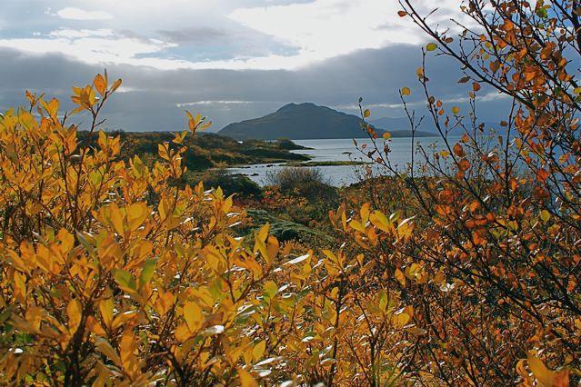 thingvellir